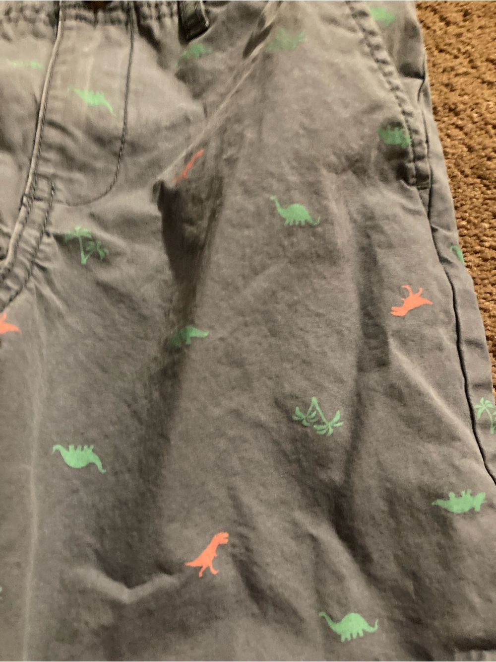 Carter's Gray Shorts with Green and Coral Dino Print - Picture 3 of 9